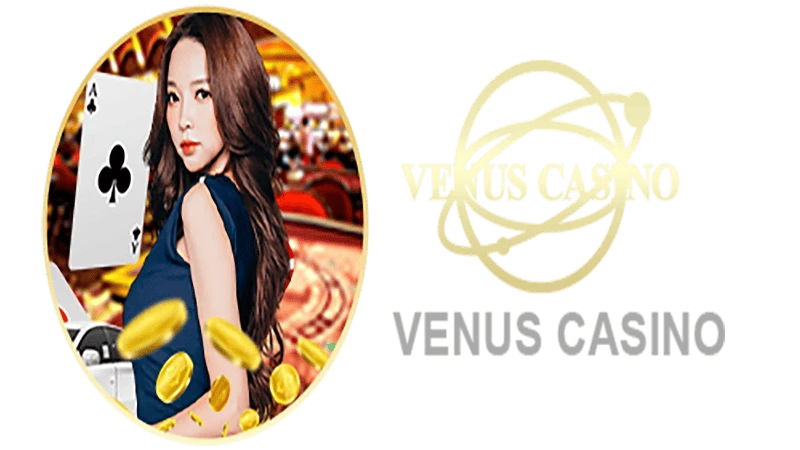 Basic information about the Venus casino lobby